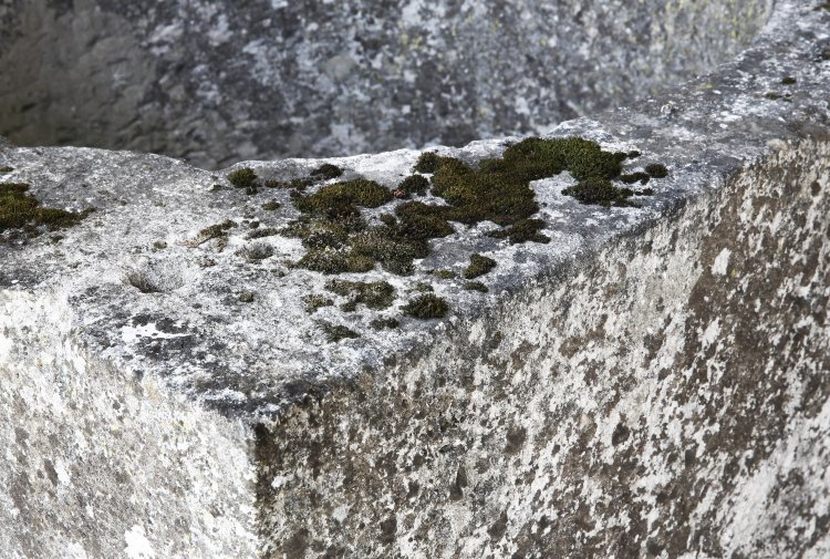 antike wasser spule von franzosischer kalkstein