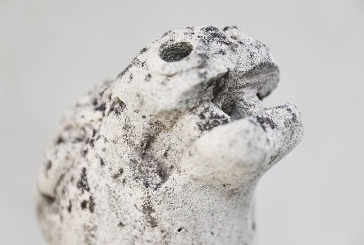 gargoyle bild